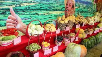 夏季青峰水鄉 親山親水親自然_旅游_網